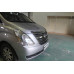 autoclover radiator grill garnish starex iload 2007-15