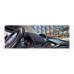 blacklabel bmw 6 series (e64) -dashboard cover mat