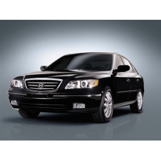 mobis amortizator pered zad hyundai grandeur 2004-07