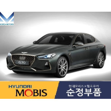 MOBIS FRONT SHOCK ABSORBERS HYUNDAI G70 2017-20