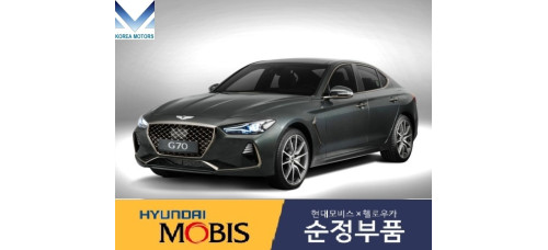 mobis front shock absorbers hyundai g70 2017-20