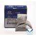 new bearing pair set-crod engine d4hb hyundai kia 2010-17