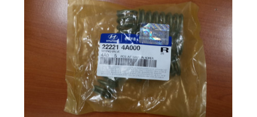 new spring-valve set engine diesel d4cb mobis 2002-15