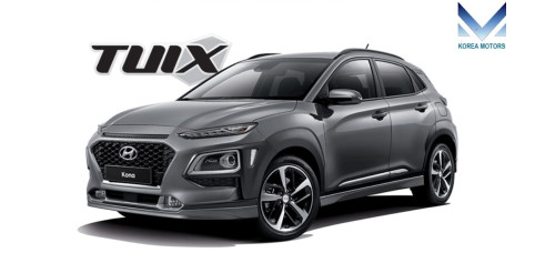 mobis rear shock absorbers for hyundai kona 2017-20