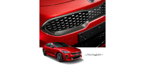 tuon carbon front grille molding kia stinger 2017-20