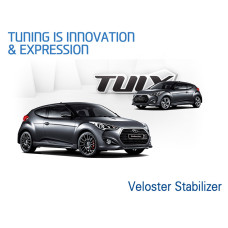 TUIX DYNAMIC PACK STABILIZER BAR HYUNDAI VELOSTER 2011-17
